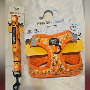 Sassy Meow Peanuts Woodstock Step-In Harness and Matching Leash (XS)